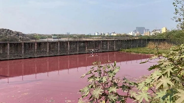 Chennai Perungudi river