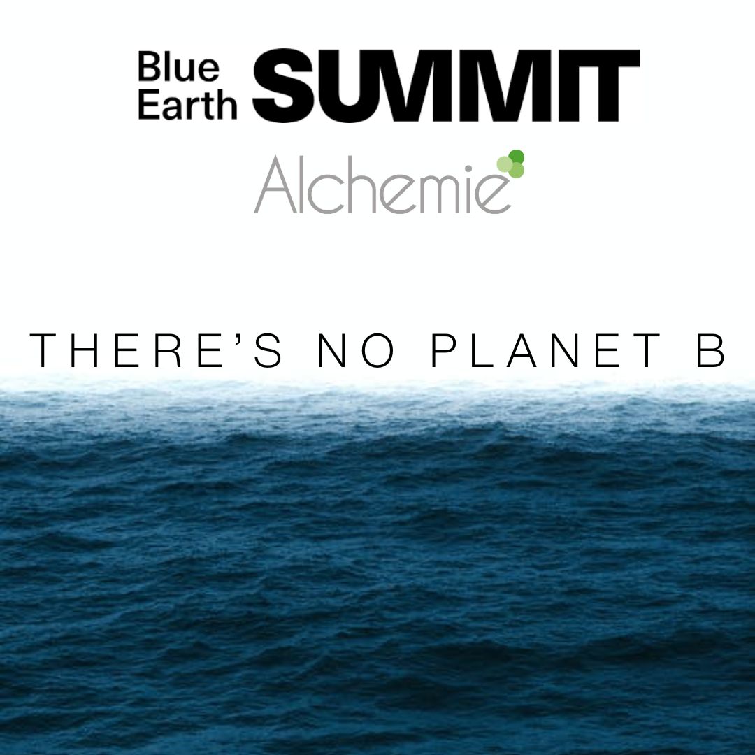 Alchemie at Blue Earth Summit