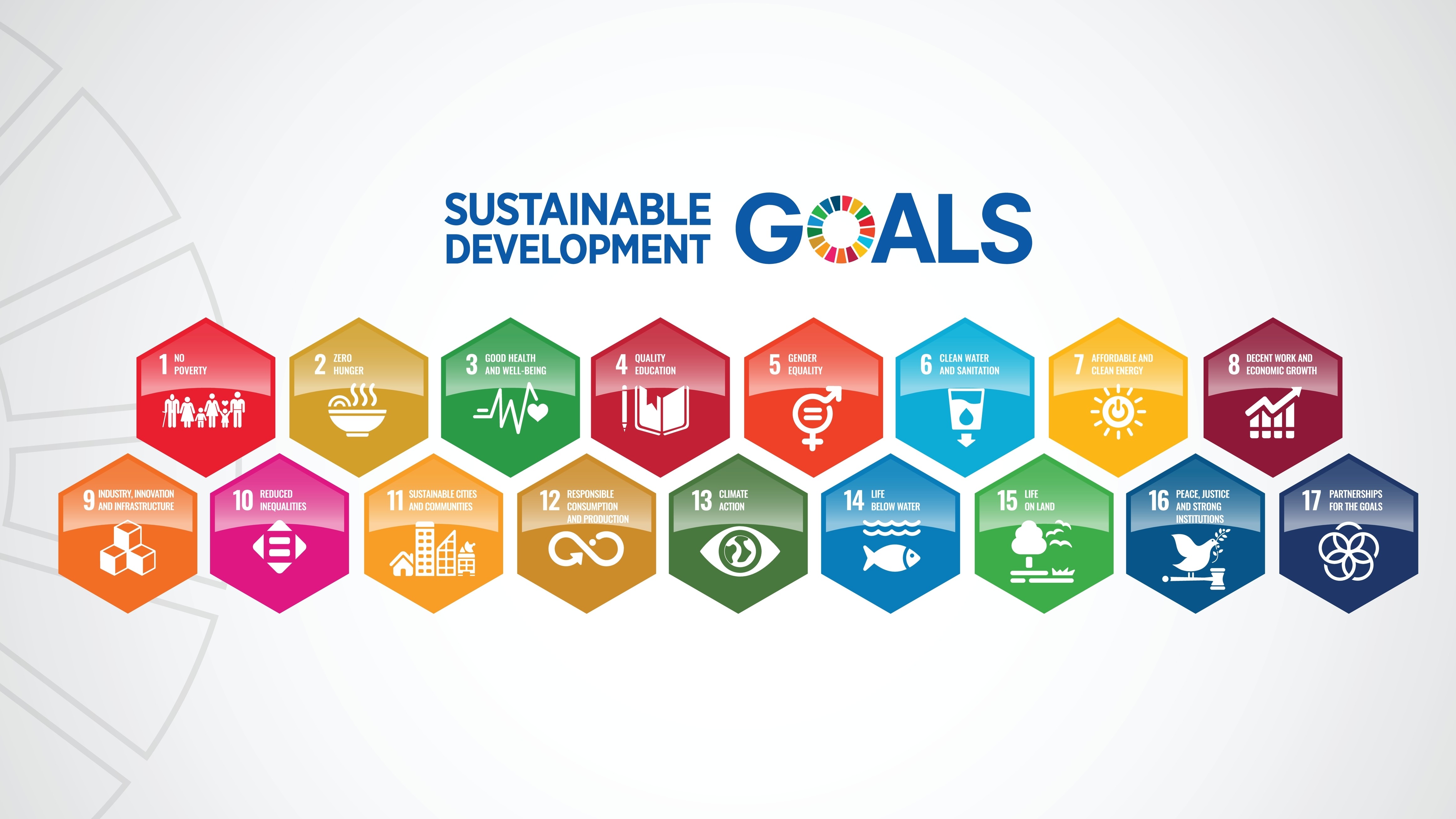 United Nations Sustainable Development Goals